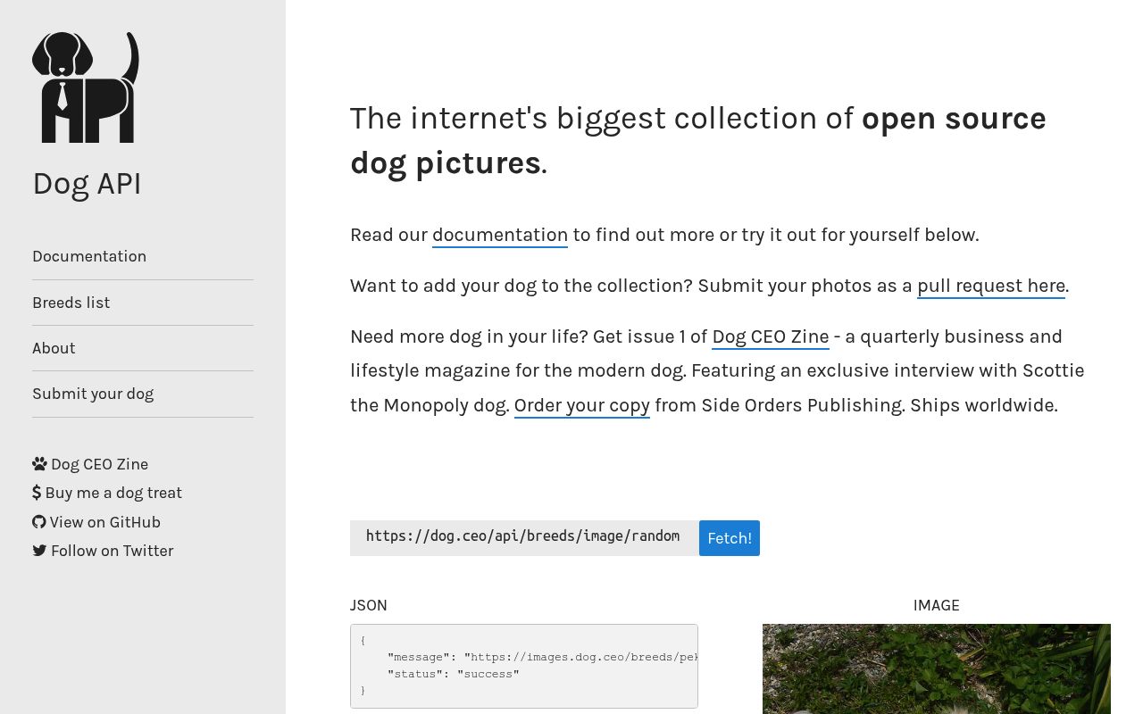 Dog.ceo-Dog-api preview